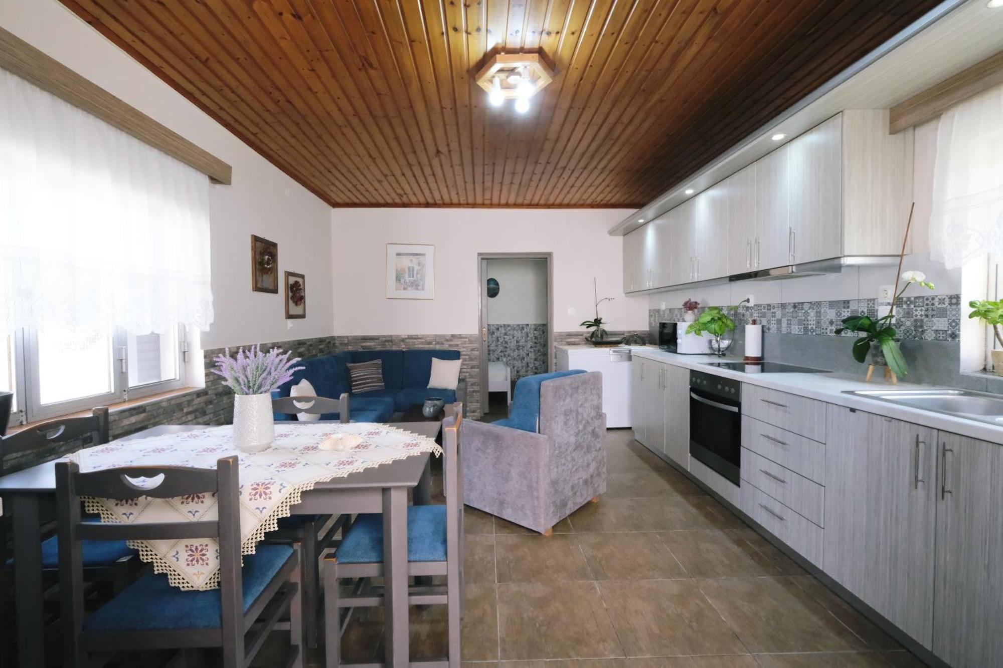 Repanidi Apartment D / Ρεπανίδι Διαμέρισμα Δ Repanidhion Екстериор снимка