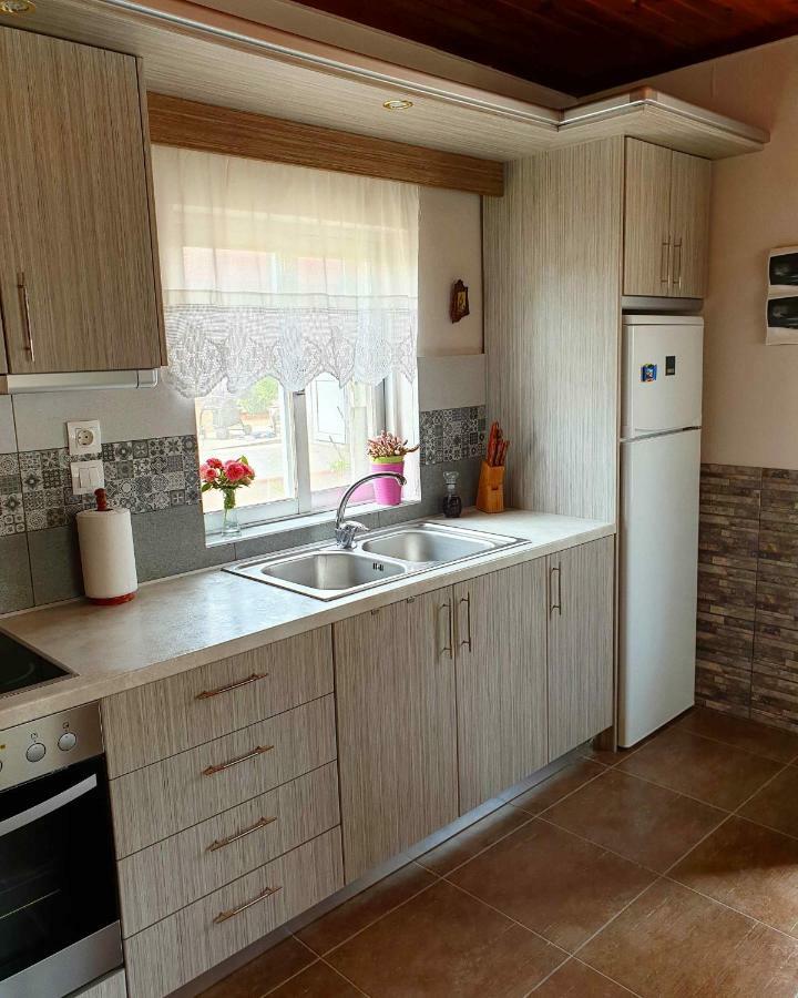 Repanidi Apartment D / Ρεπανίδι Διαμέρισμα Δ Repanidhion Екстериор снимка