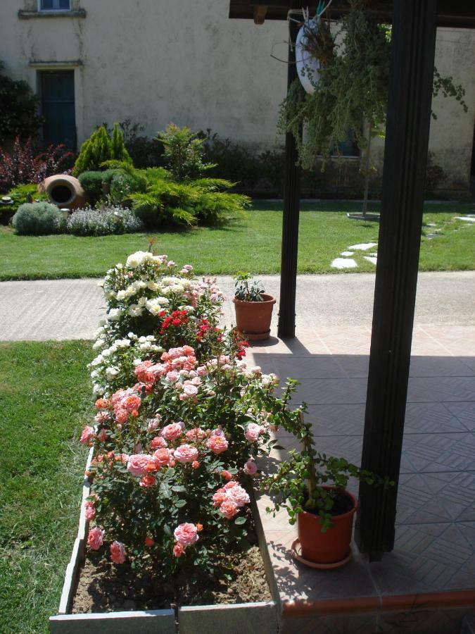 Repanidi Apartment D / Ρεπανίδι Διαμέρισμα Δ Repanidhion Екстериор снимка