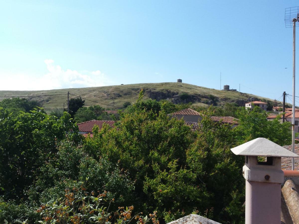 Repanidi Apartment D / Ρεπανίδι Διαμέρισμα Δ Repanidhion Екстериор снимка