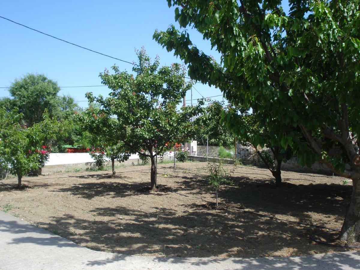 Repanidi Apartment D / Ρεπανίδι Διαμέρισμα Δ Repanidhion Екстериор снимка